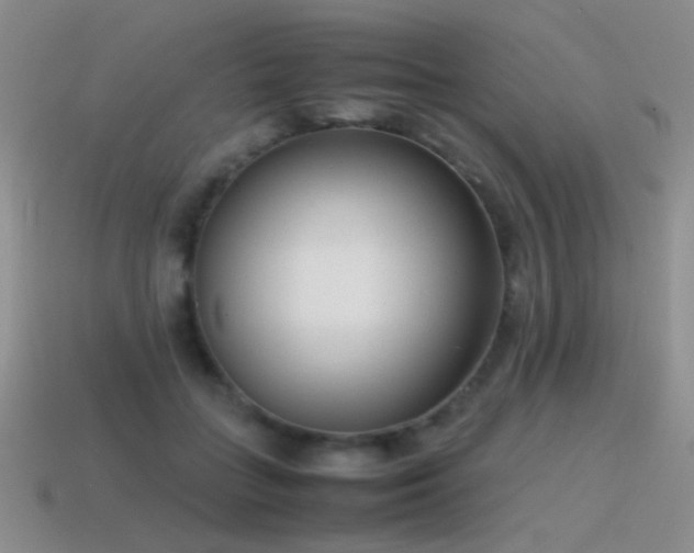 X0000115500555200911061329
