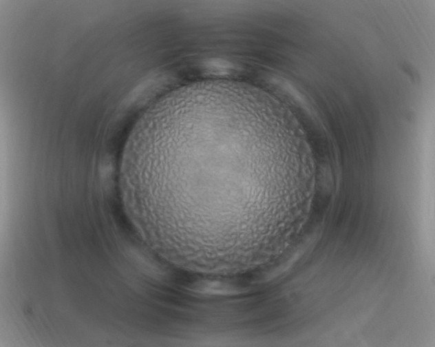 X0000115500557200911061329