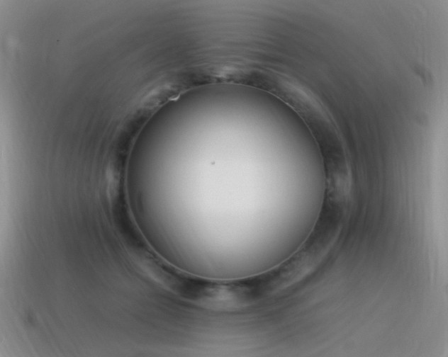 X0000115500558200911061329