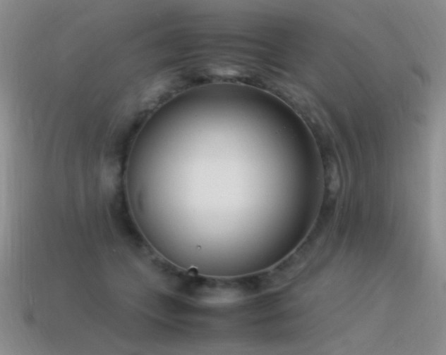X0000115500559200911061329