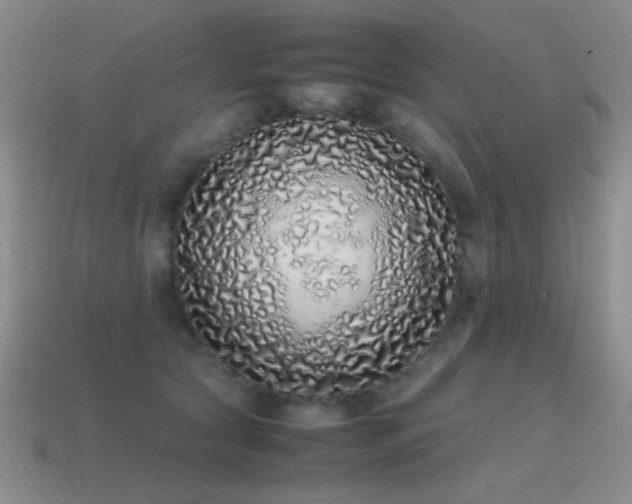 X0000115500561200911061329
