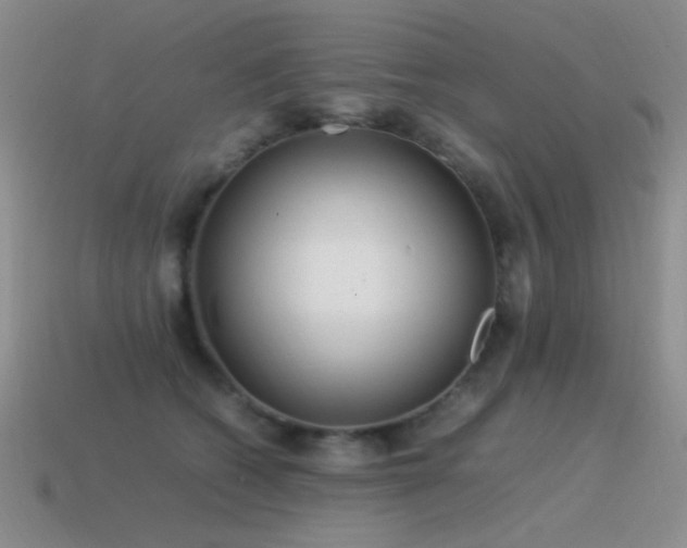 X0000115500562200911061329