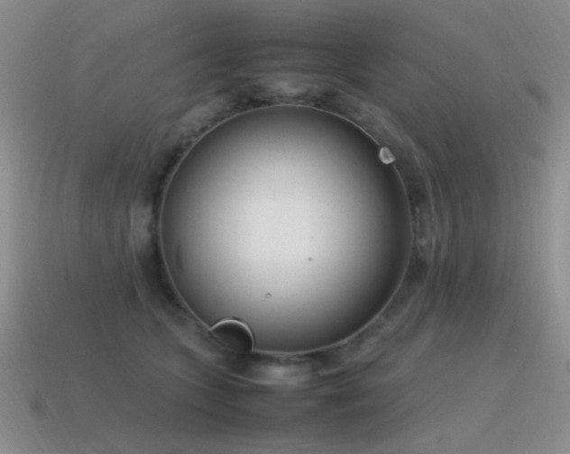 X0000115500563200911061329
