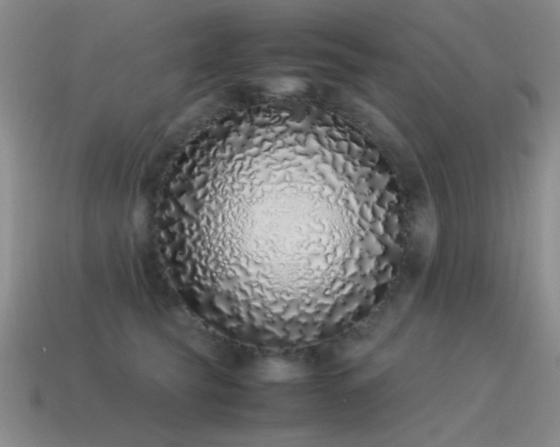 X0000115500565200911061330