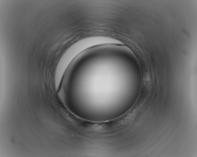 X0000115500566200911061330
