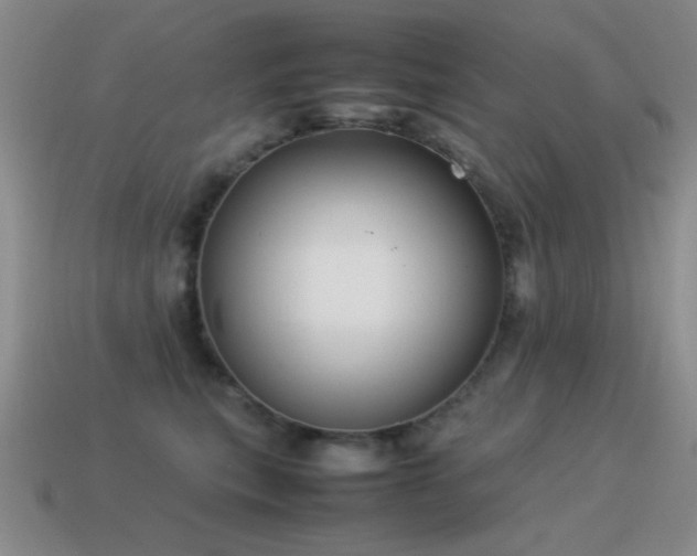 X0000115500567200911061330