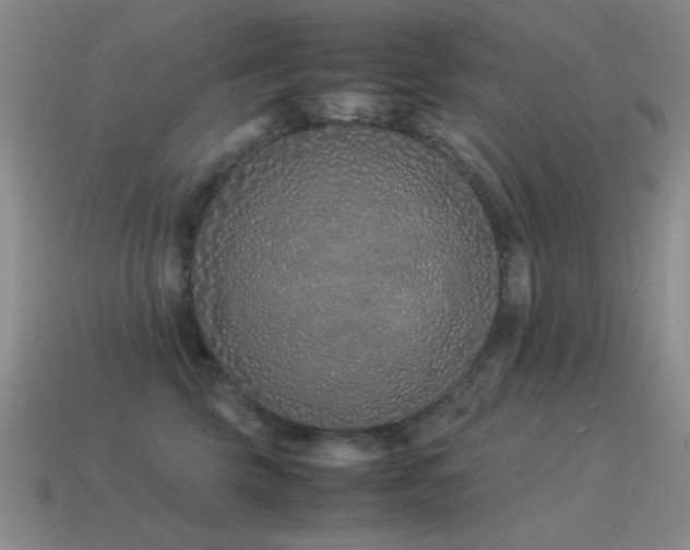 X0000115500569200911061330