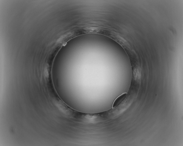 X0000115500570200911061330