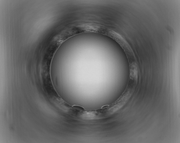 X0000115500573200911061330