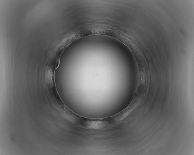 X0000115500575200911061330