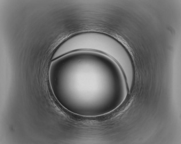 X0000115500577200911061329