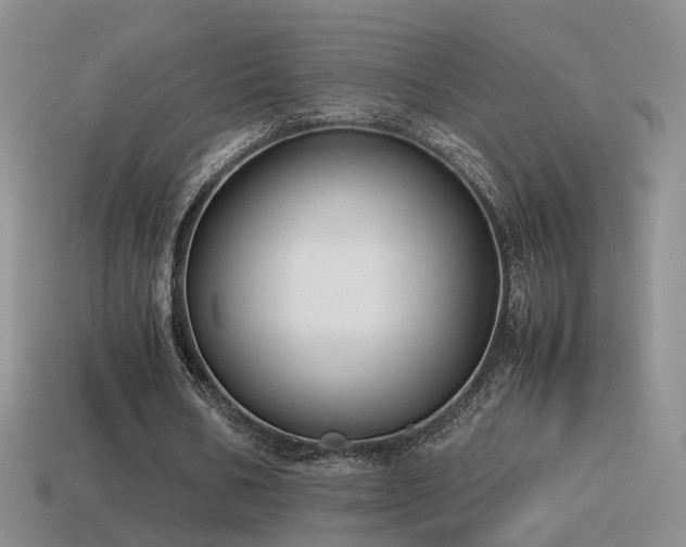 X0000115500578200911061329