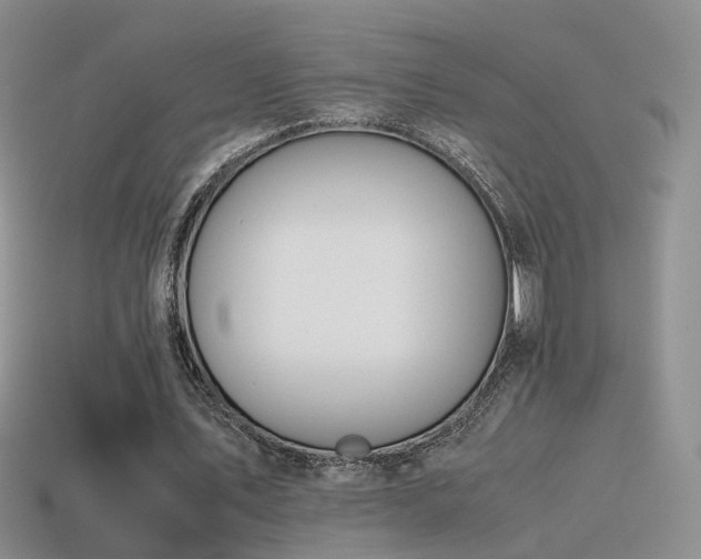 X0000115500579200911061329