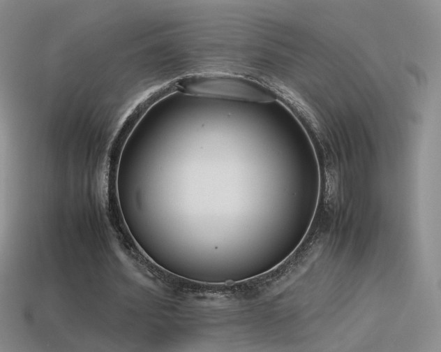X0000115500580200911061329