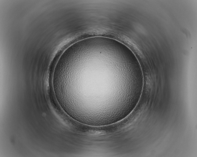 X0000115500582200911061329