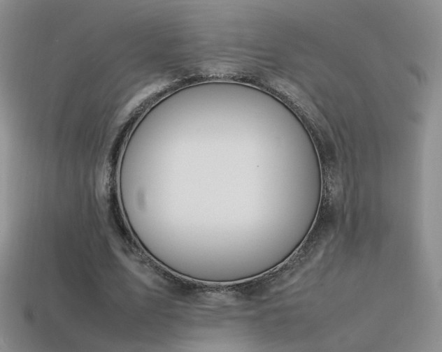 X0000115500583200911061329