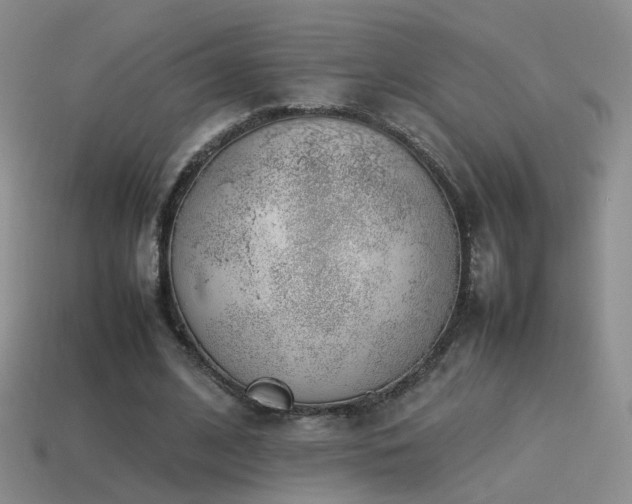 X0000115500584200911061329