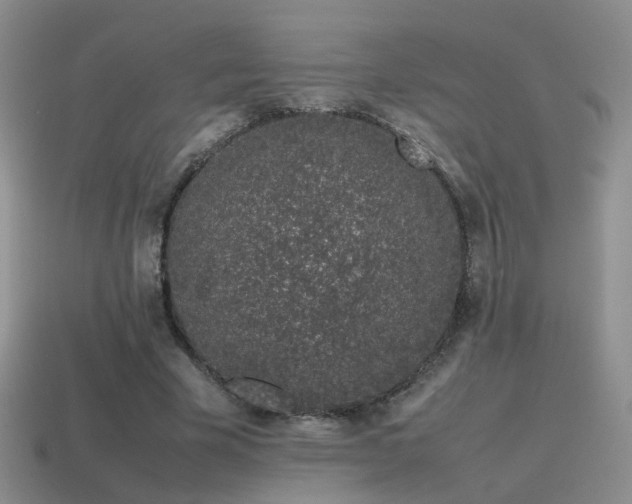 X0000115500585200911061329