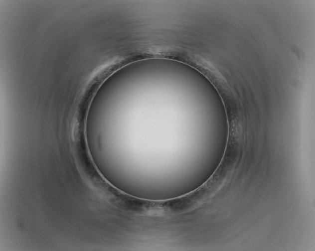 X0000115500587200911061329