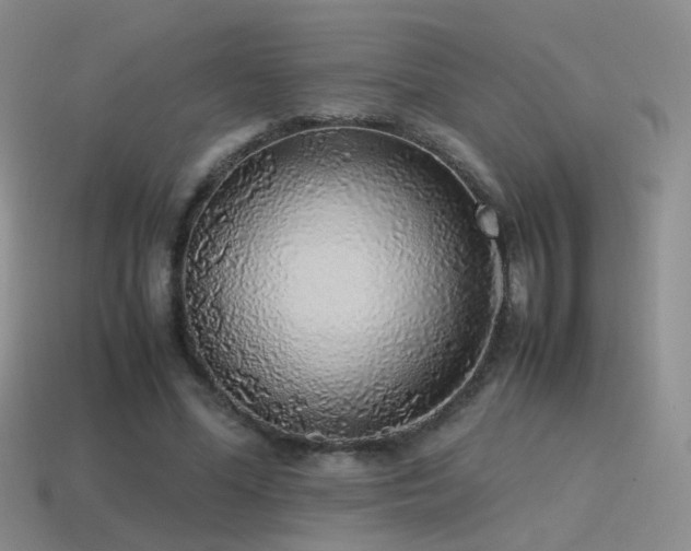 X0000115500588200911061329