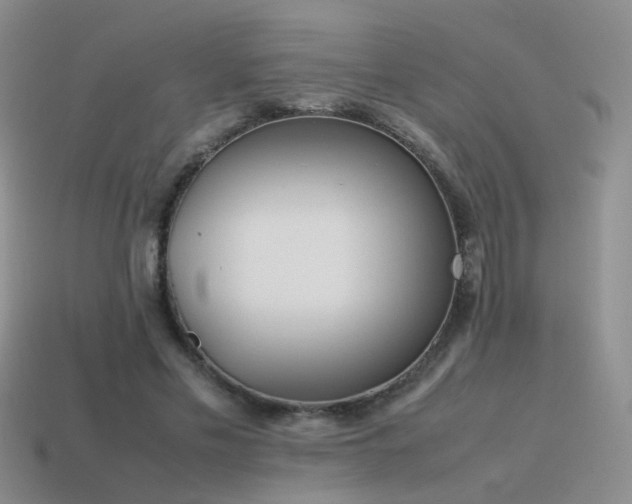 X0000115500589200911061329