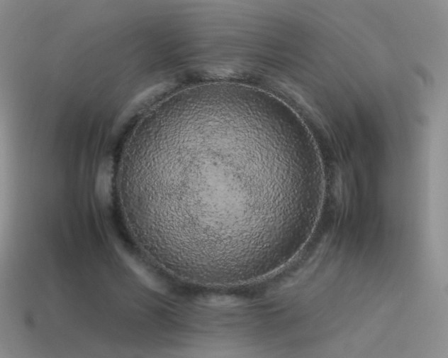 X0000115500590200911061329