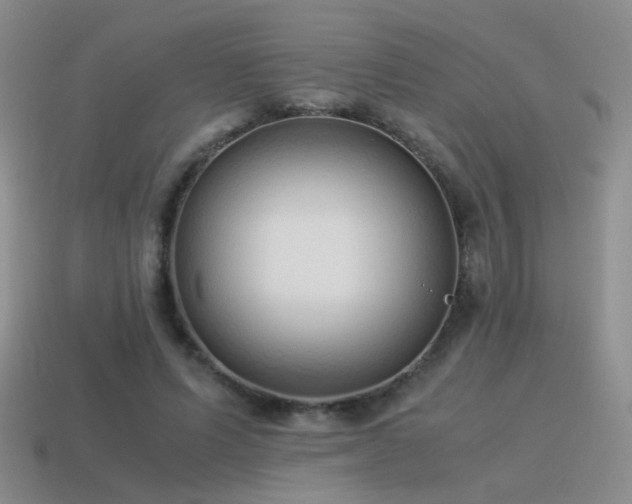 X0000115500591200911061329