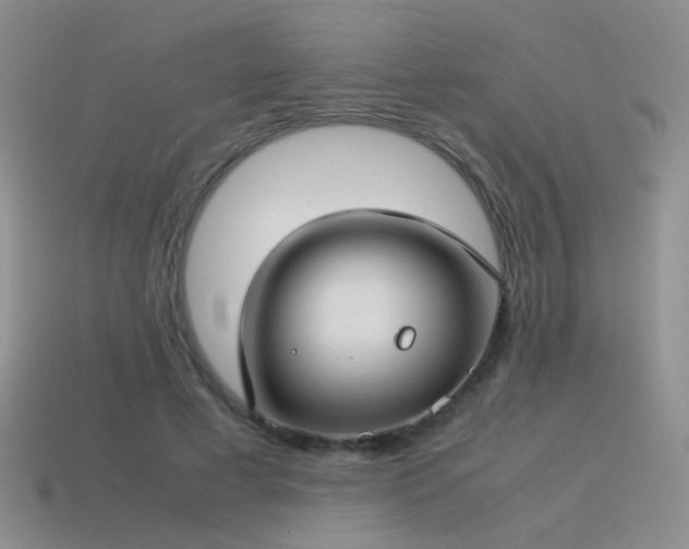 X0000115500593200911061329