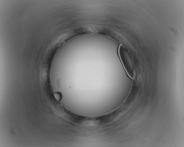 X0000115500595200911061329