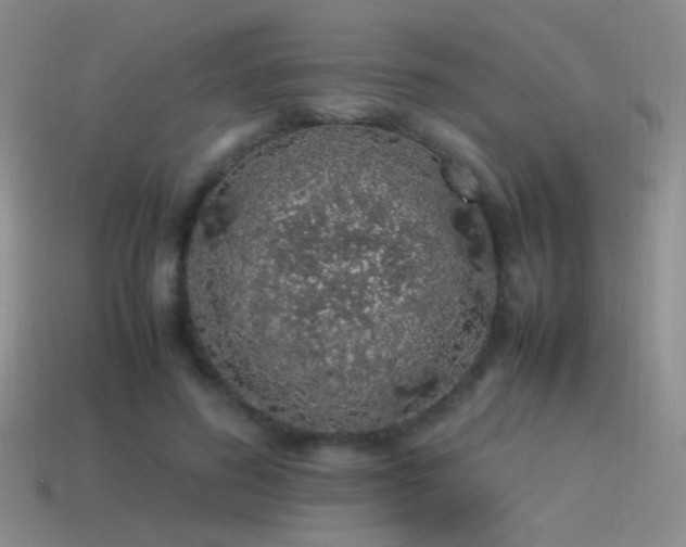 X0000115500596200911061329