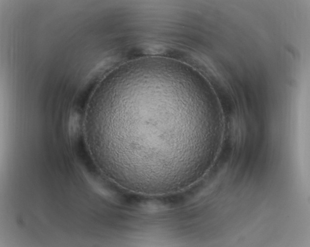 X0000115500598200911061329