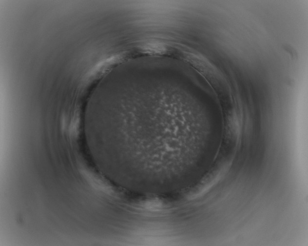 X0000115500600200911061329
