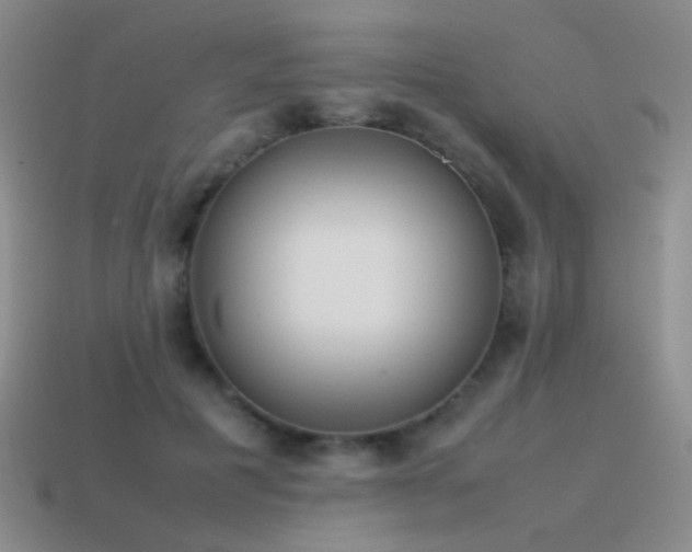 X0000115500601200911061329
