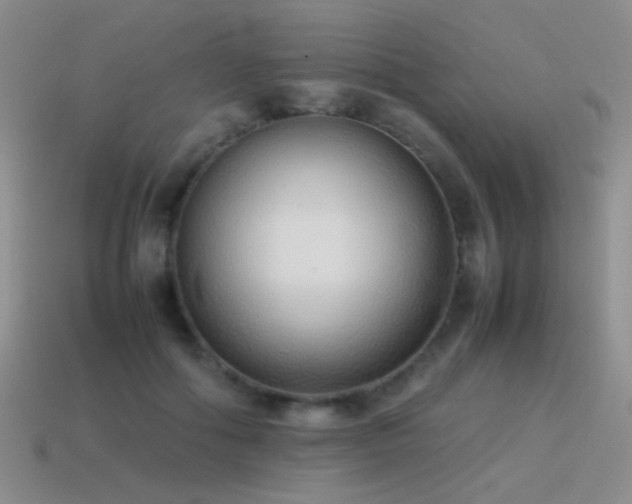 X0000115500602200911061329