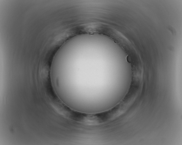 X0000115500603200911061329