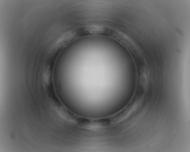 X0000115500604200911061329