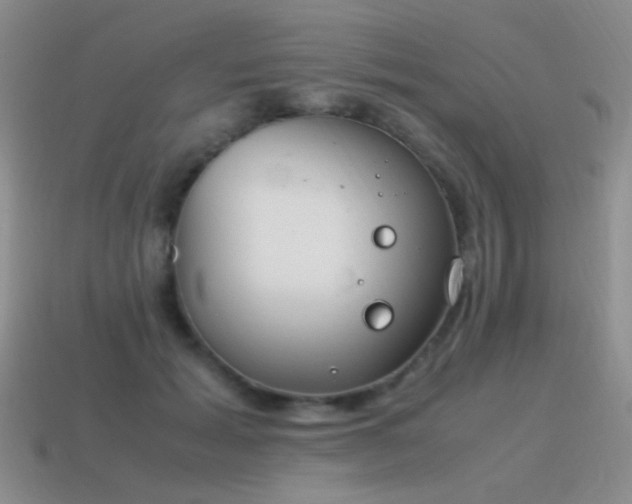 X0000115500605200911061329