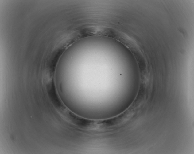 X0000115500607200911061329