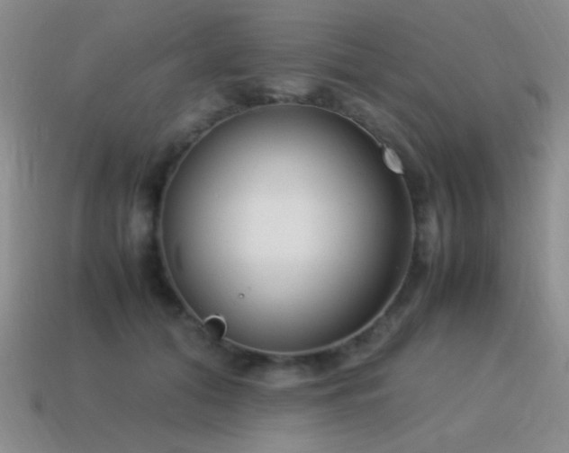 X0000115500608200911061329