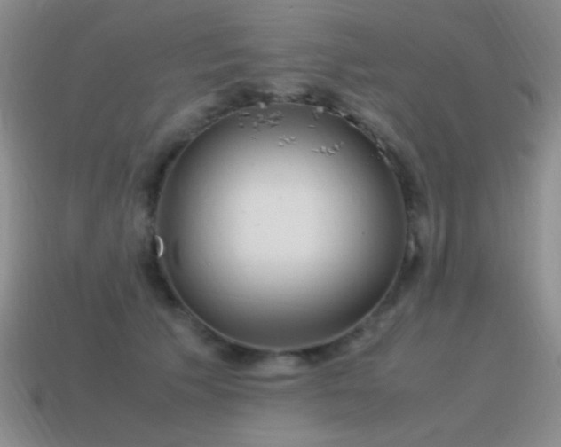 X0000115500609200911061329