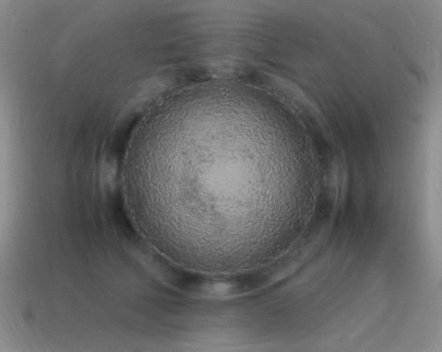 X0000115500610200911061329