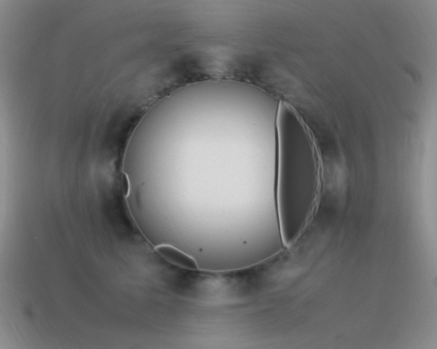 X0000115500611200911061329