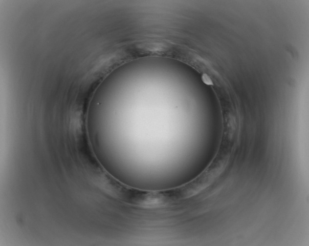 X0000115500612200911061329