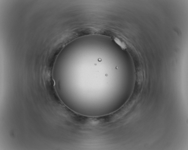 X0000115500613200911061329