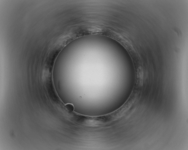 X0000115500614200911061329