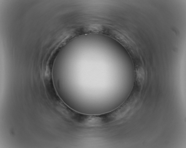 X0000115500617200911061328