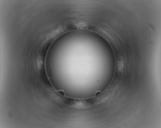 X0000115500618200911061328
