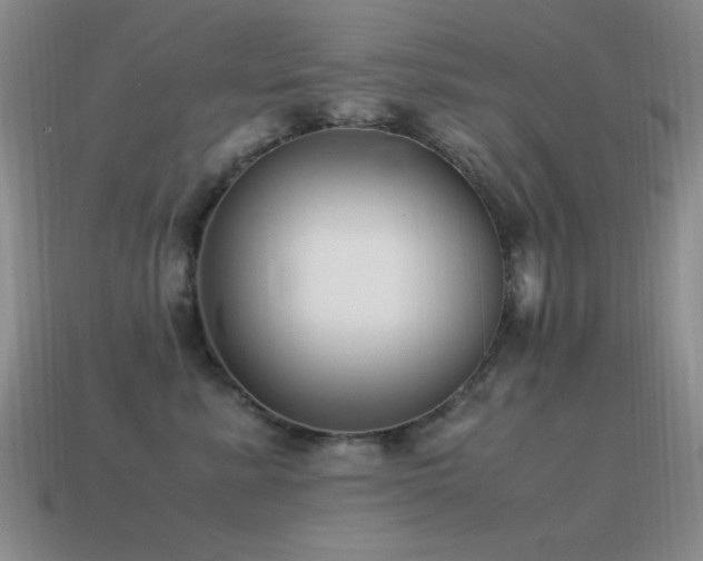 X0000115500619200911061328