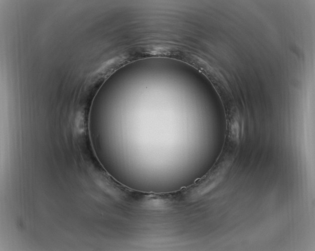 X0000115500620200911061328