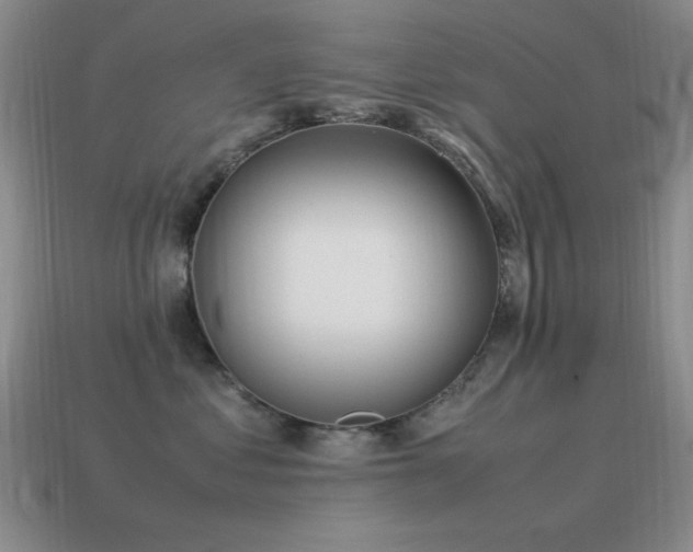 X0000115500621200911061328